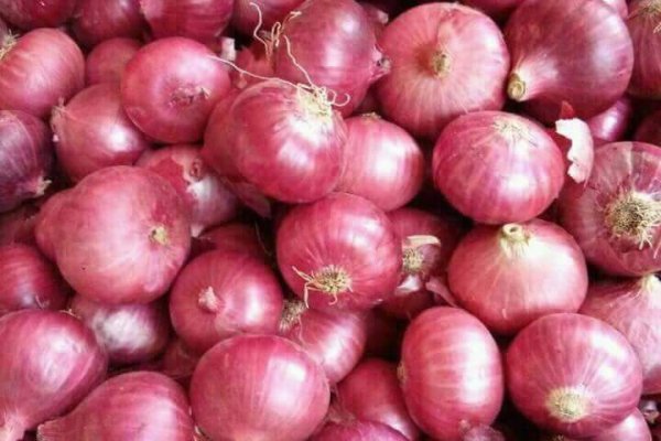 Onion shop