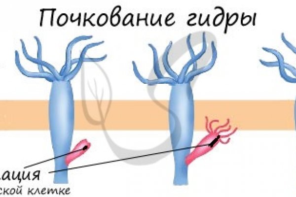 Услуги даркнета