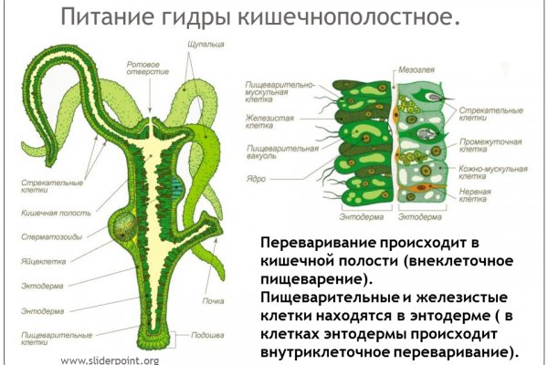 Кракен драг