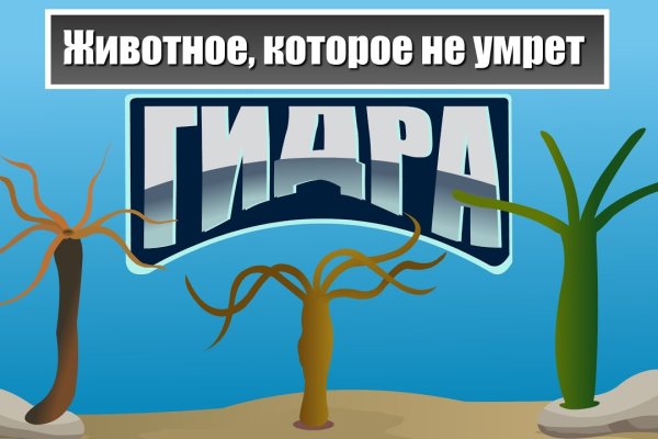 Кракен это современный даркнет маркетплейс