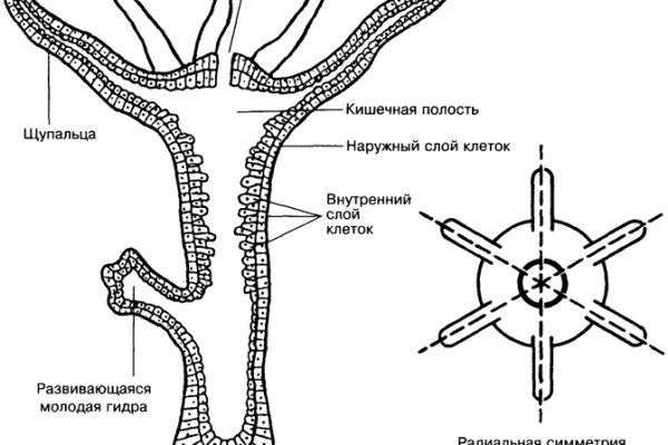 Кракен марке